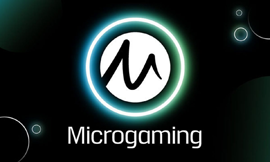 Microgaming: Setting the Standard in Online Casino Gaming - image