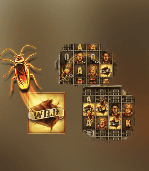 The Cockroach Nest: Your Multiplier Highway