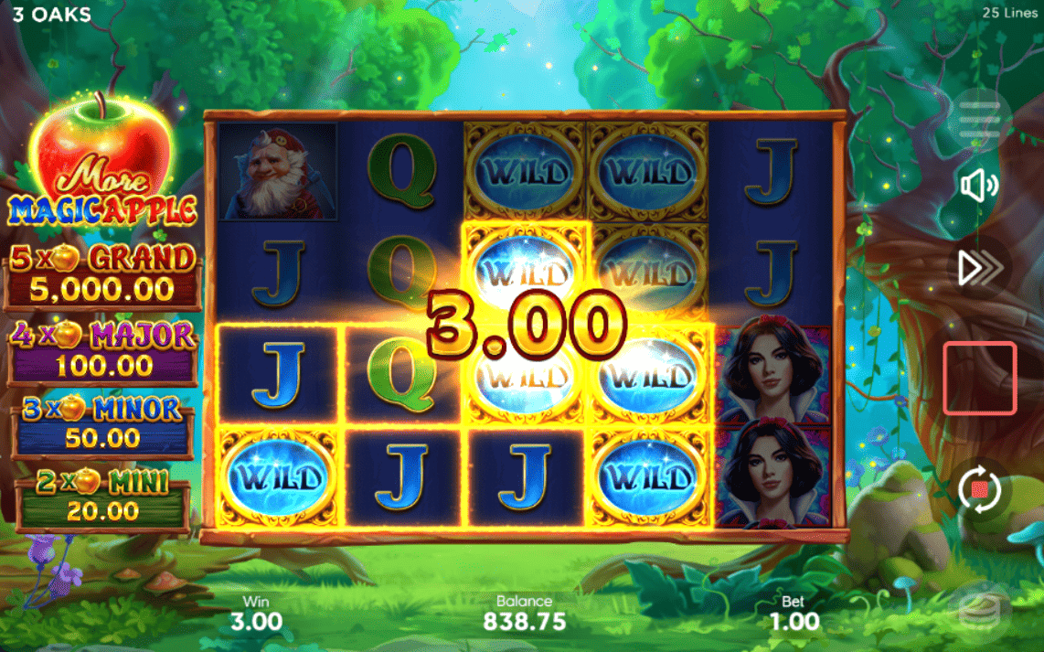 Wild Symbol Functionality