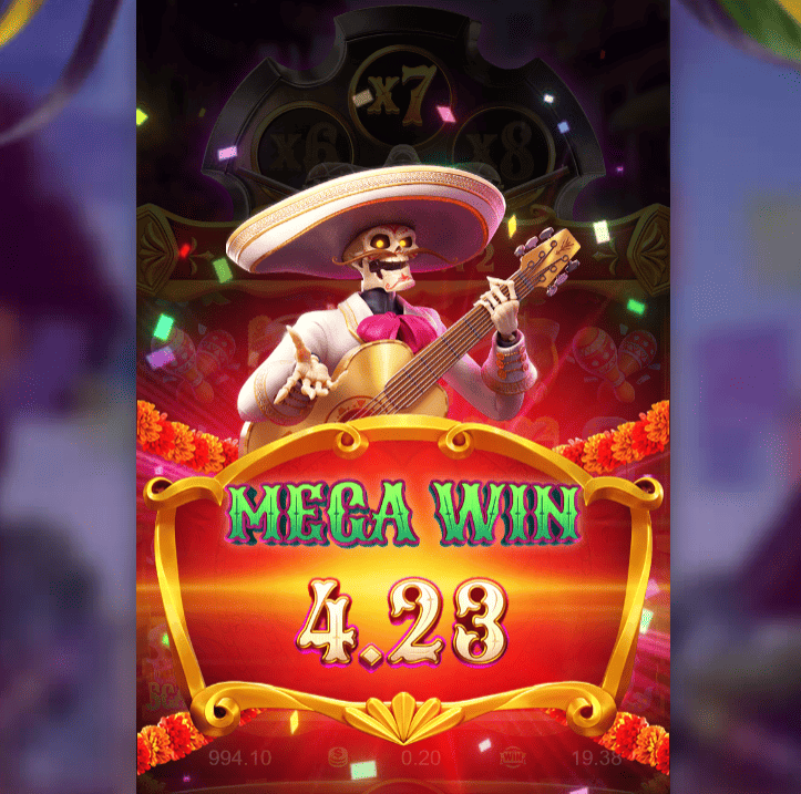 Wild Bandito Application