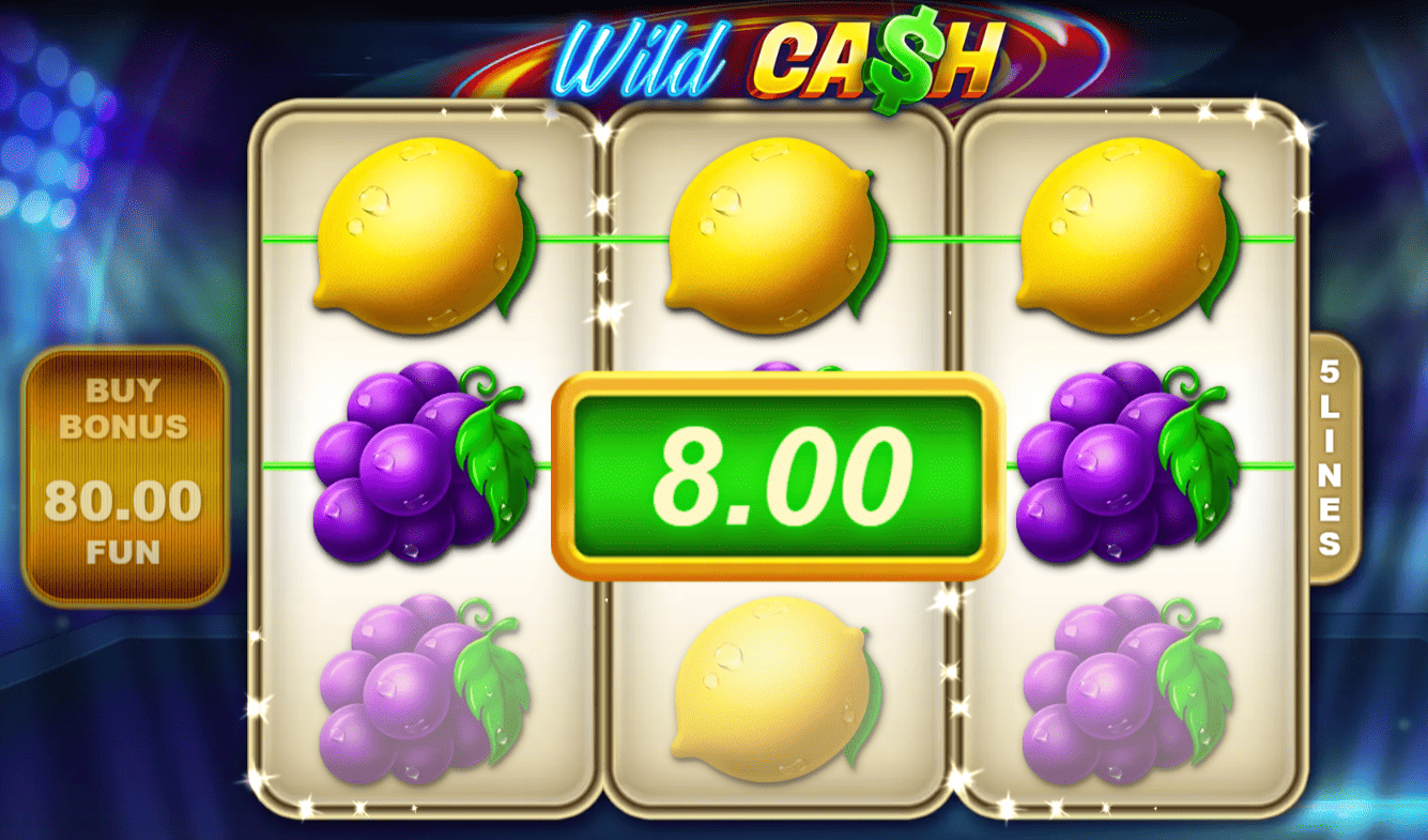 Step 5: Configure Bet Size and Begin Spinning